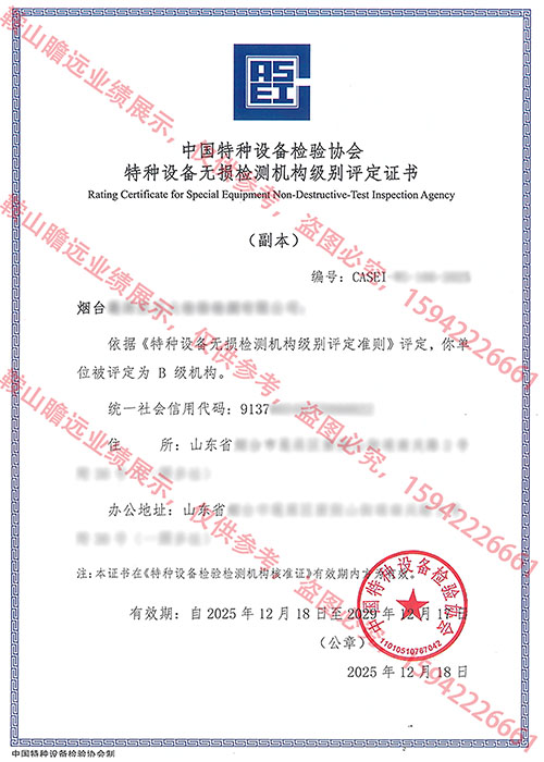 2025山东公司案例